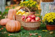 apples and pumpkins